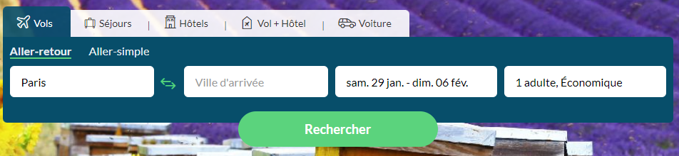formulaire de recherche easyvoyage